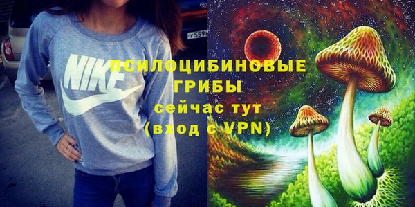 стафф Алексеевка