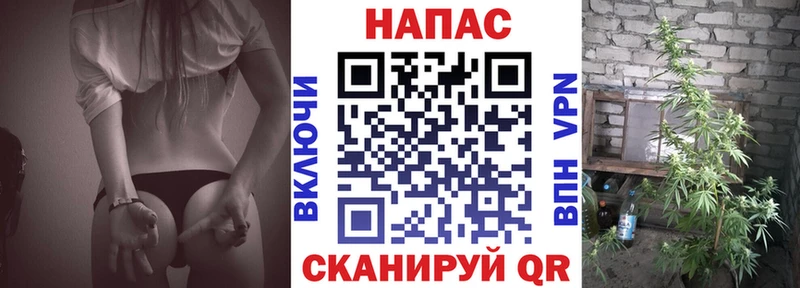 Бошки Шишки Amnesia  Тотьма 